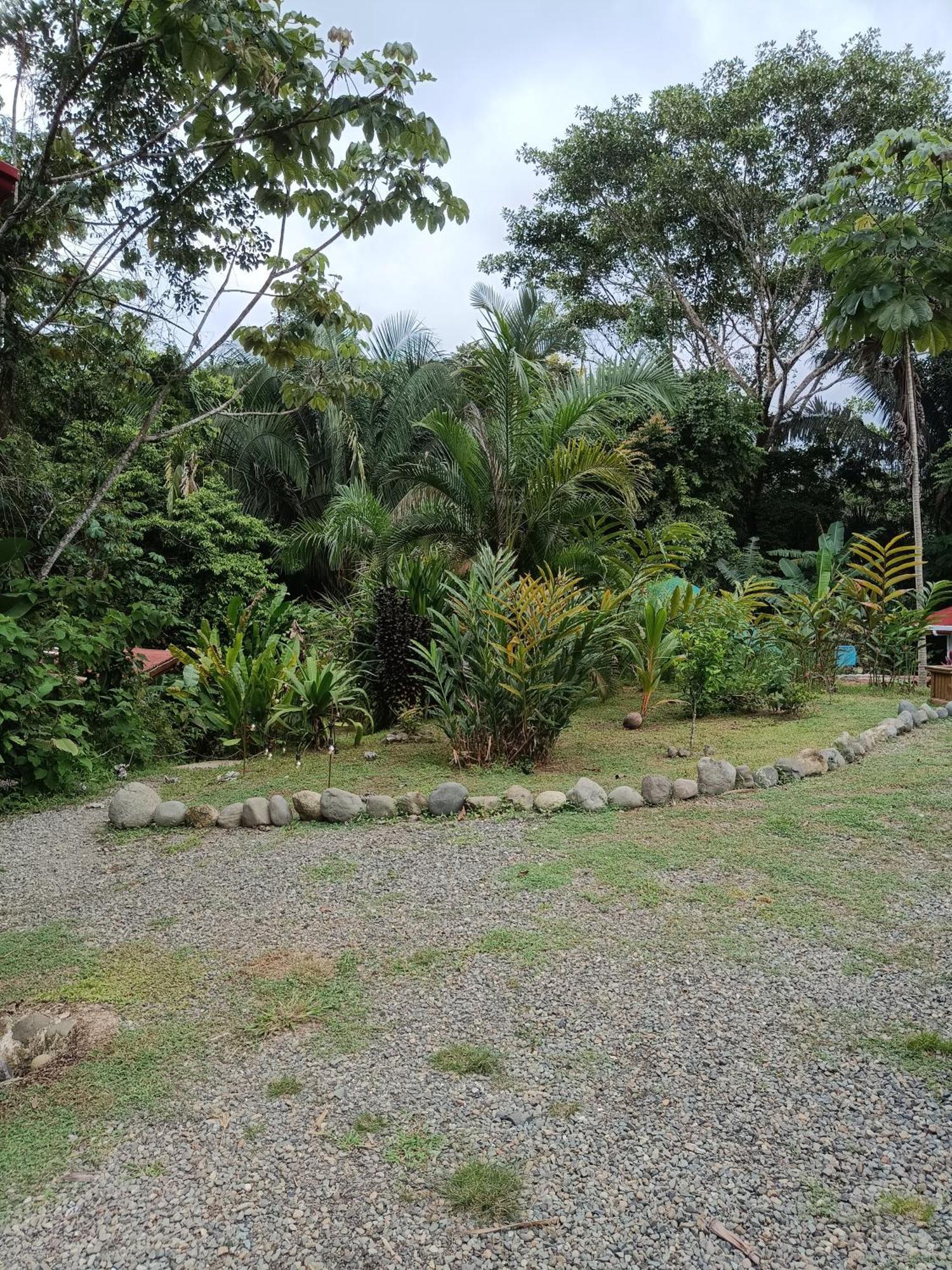 Selva Linda Lodge Vacation Rentals Quepos Bagian luar foto
