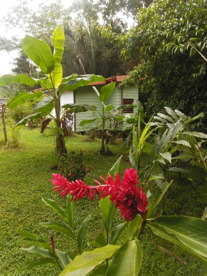 Selva Linda Lodge Vacation Rentals Quepos Bagian luar foto