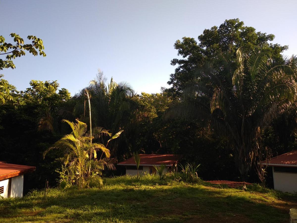Selva Linda Lodge Vacation Rentals Quepos Bagian luar foto